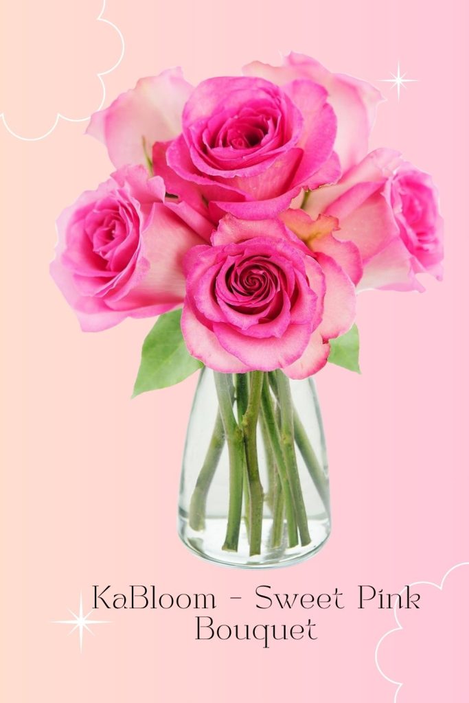 KaBloom – Sweet Pink Bouquet of 6 Fresh Cut Pink Roses with Vase – Fresh Flowers